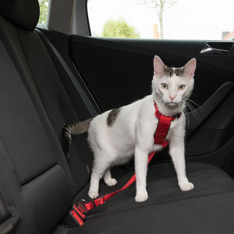 Harnais de sécurité pour voiture Trixie