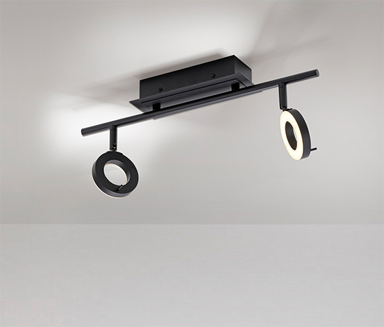 Paul Neuhaus LED-Deckenleuchte »Sileda«, klein