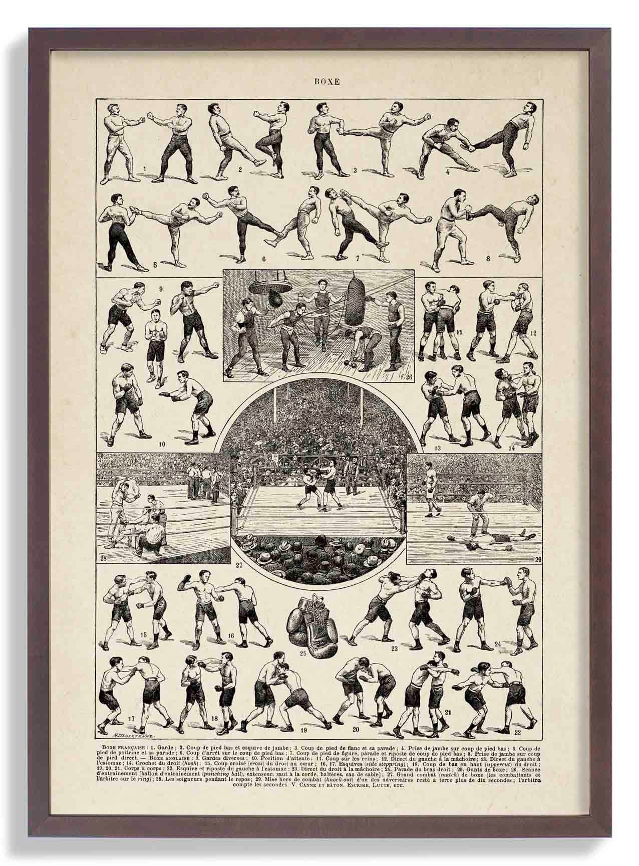 Vintage Boxe Larousse