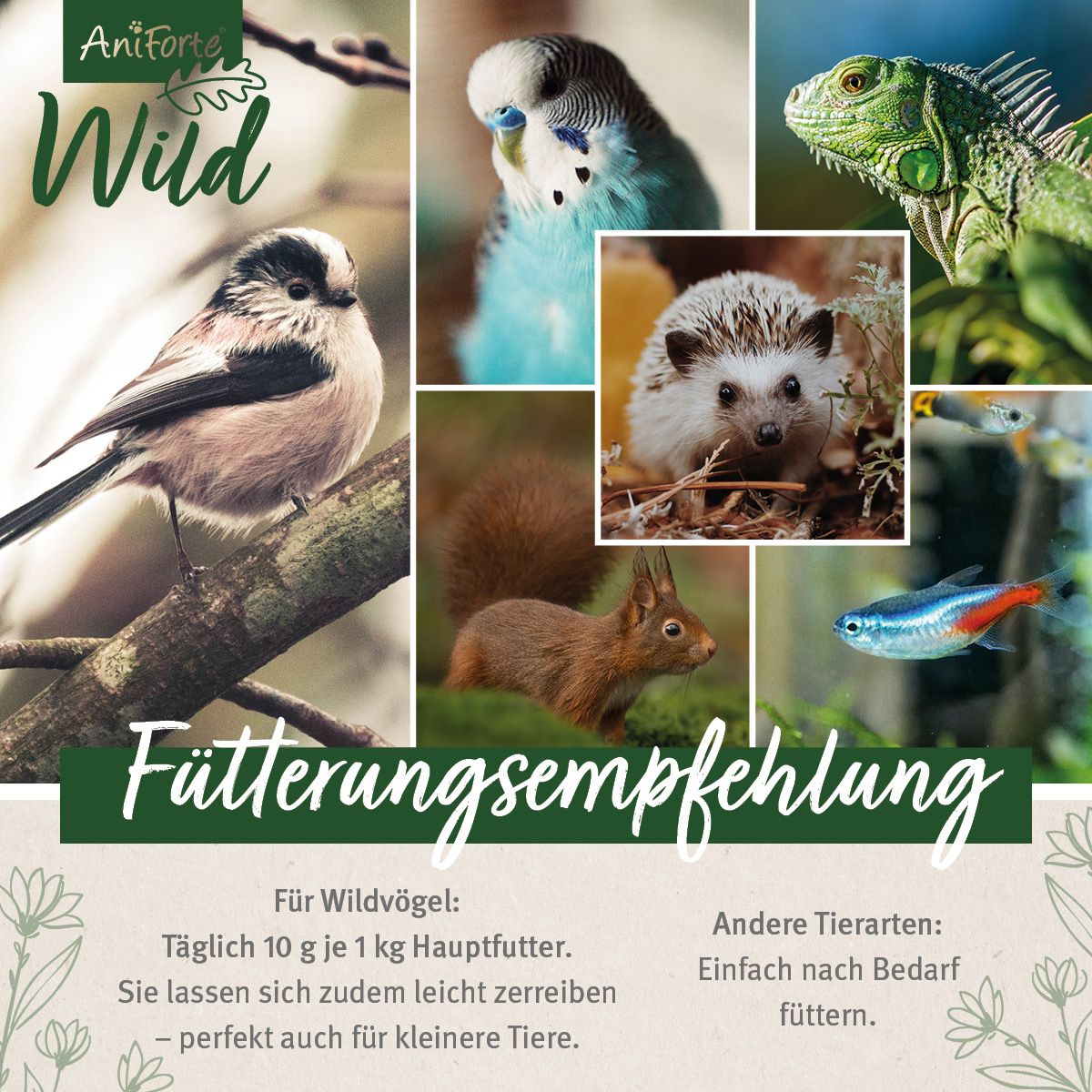 AniForte Wild Soldatenfliegenlarven