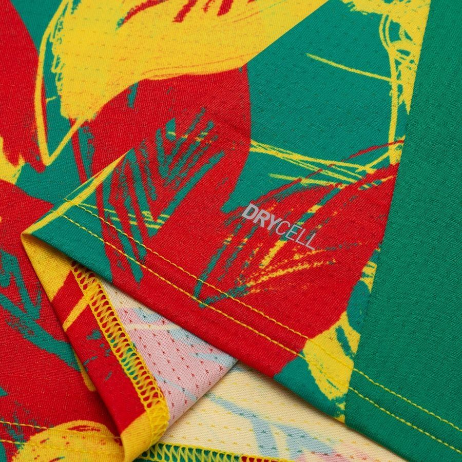 Sénégal T-shirt d'Entraînement Avant-Match Africa Cup of Nations 2025 - Vert/Faster Yellow/Rouge