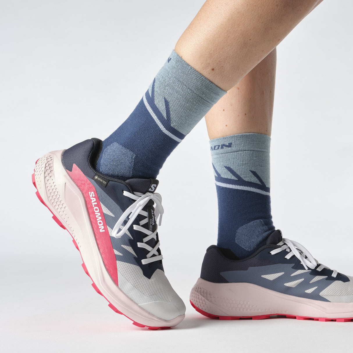 Salomon<br>Alphaglide GTX W