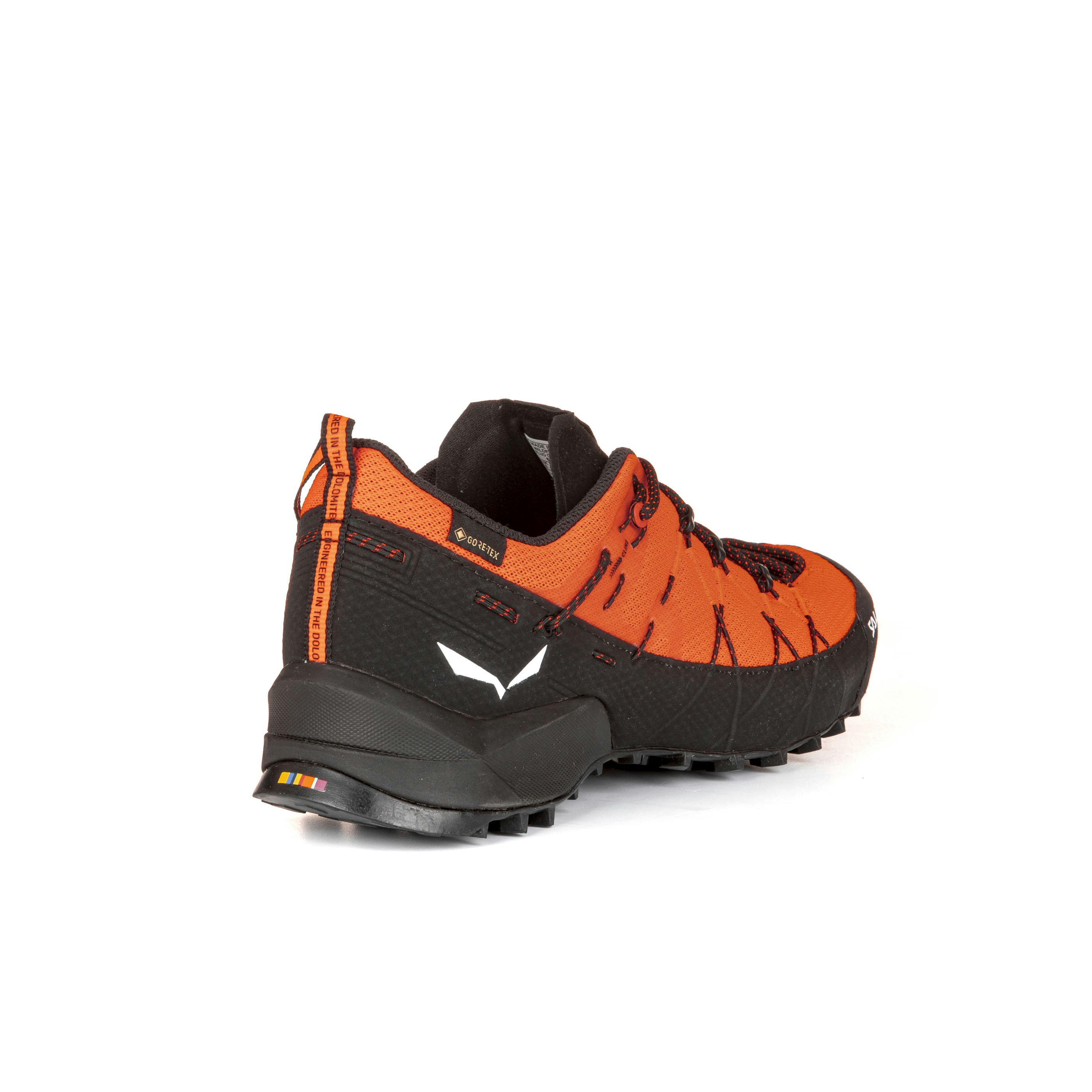 Wildfire 2 Gore-Tex® Schuh Herren