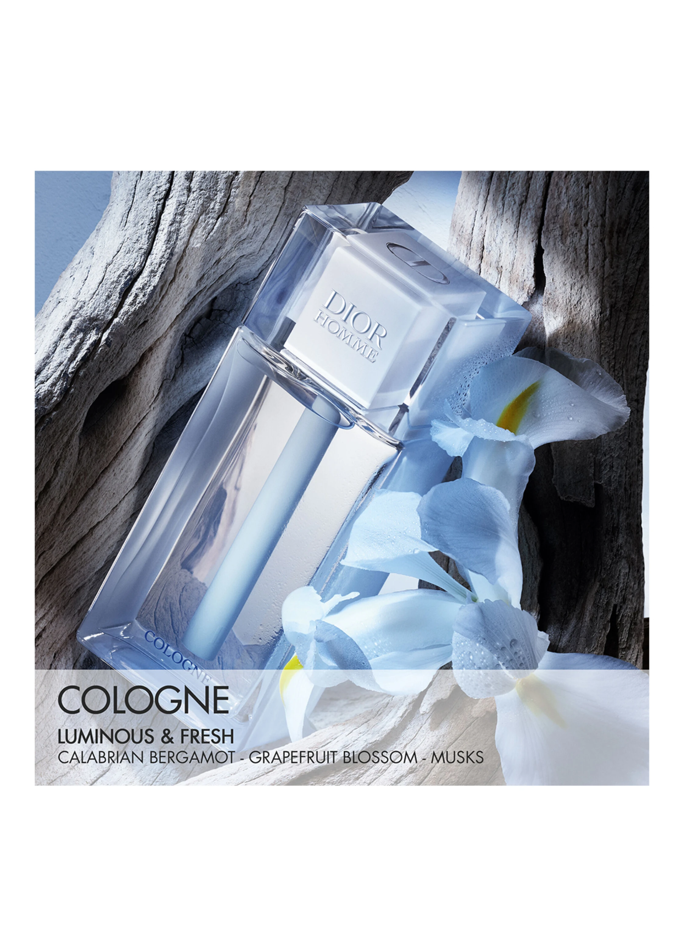 DIOR DIOR HOMME COLOGNE