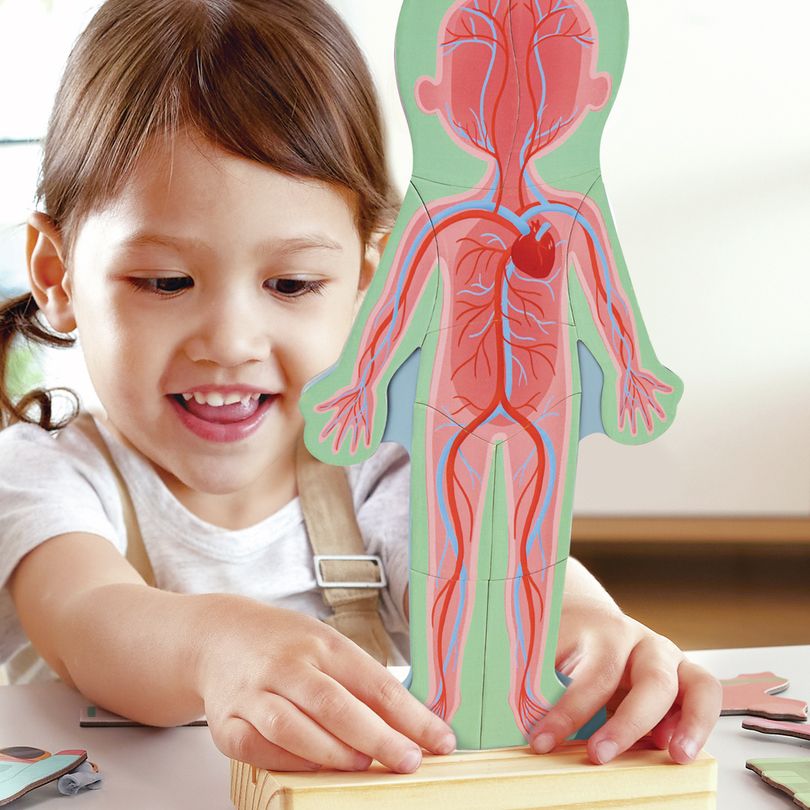 Hape Magnetisches Puzzle - Menschlicher Körper