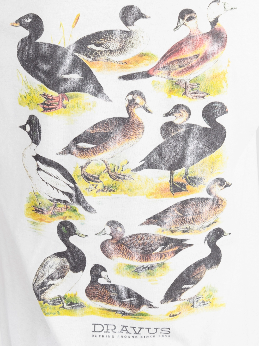 Dravus Ducking Around T-Shirt white