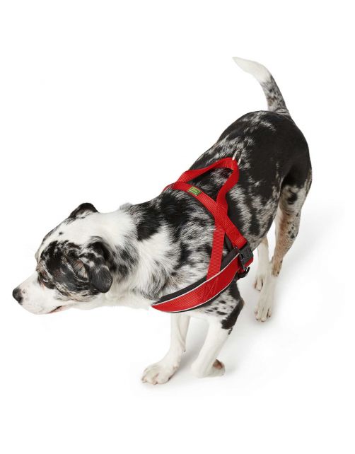 Hunter Harnas Norweger Racing Nylon Rood&Zwart - Hondenharnas