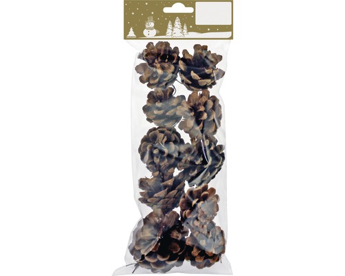 Kerstdecoratie dennenappels, 10 stuks, naturel