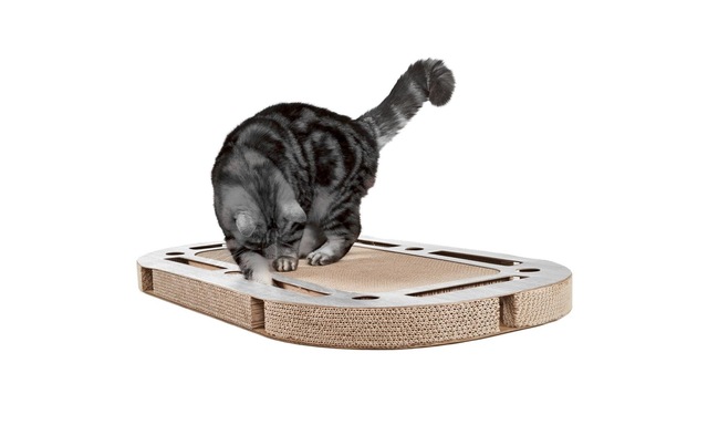 Tier-Intelligenzspielzeug »CanadianCat Playplate« Pappe