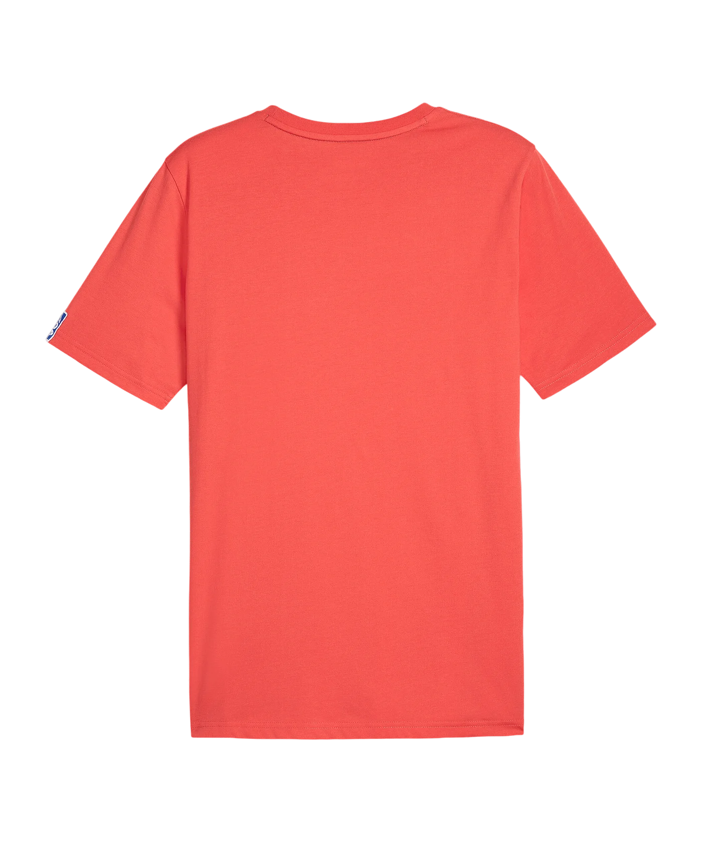 PUMA Handball T-Shirt Rot Braun F09