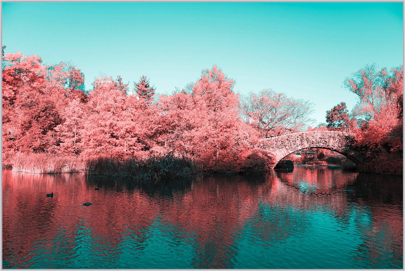 Infrared NYC V by Paolo Pettigiani - Limited Edition. Edition of: 150. Signed.