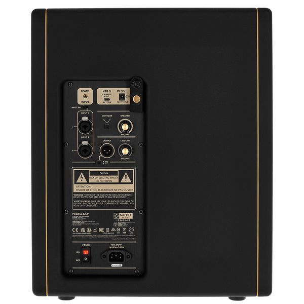 Positive Grid Spark CAB