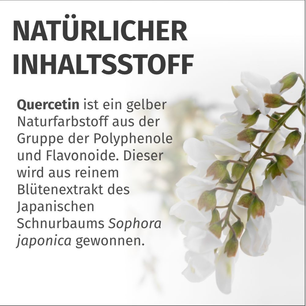 GREEN NATURALS® Quercetin 500 mg hochdosiert vegan