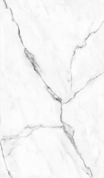 Lot de 2 panneaux muraux de salle de bains l.100x255 cm, décor marbre de Carrare Softtouch, Schulte DécoDesign