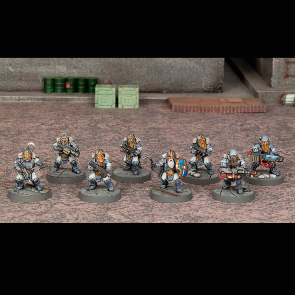Einherjar Infantry Box Set