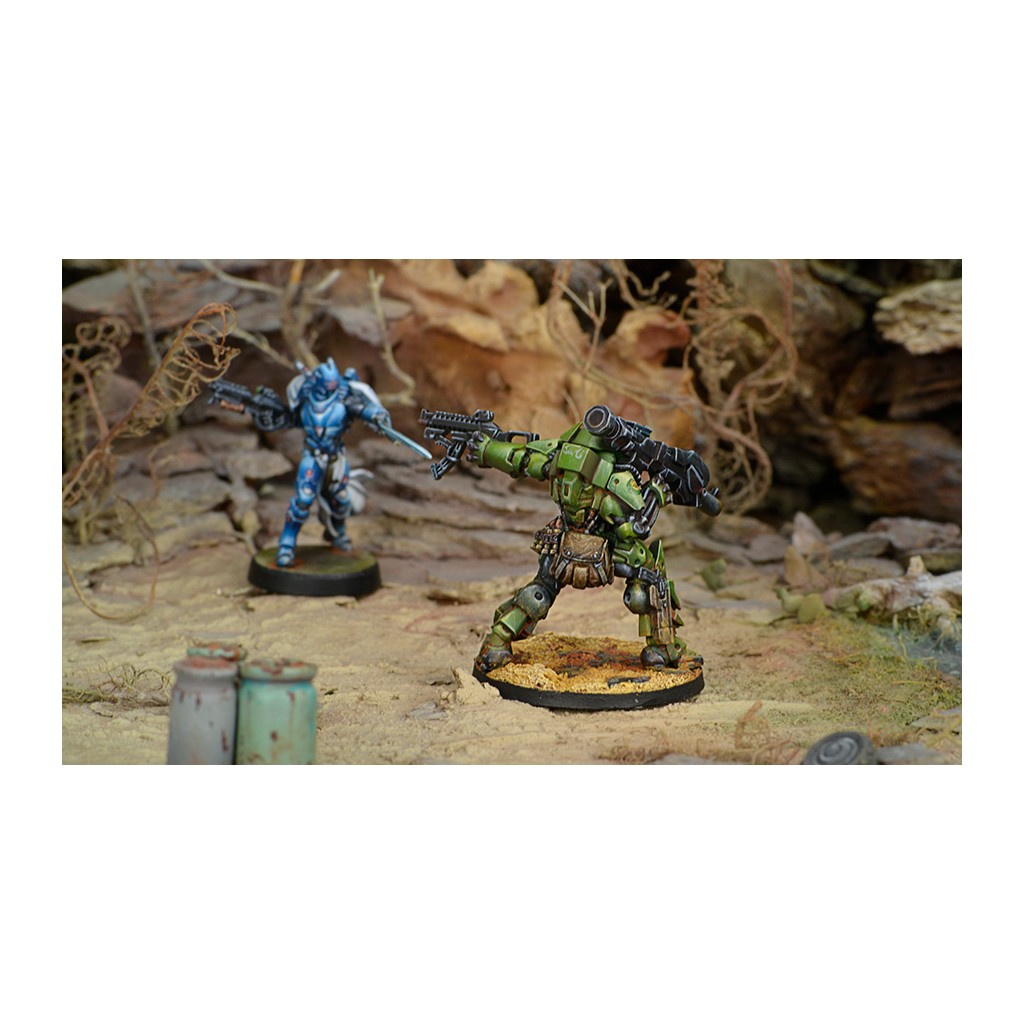 Infinity - Haqqislam - Heavy Assault Regiment Al Fasid (Heavy RL)