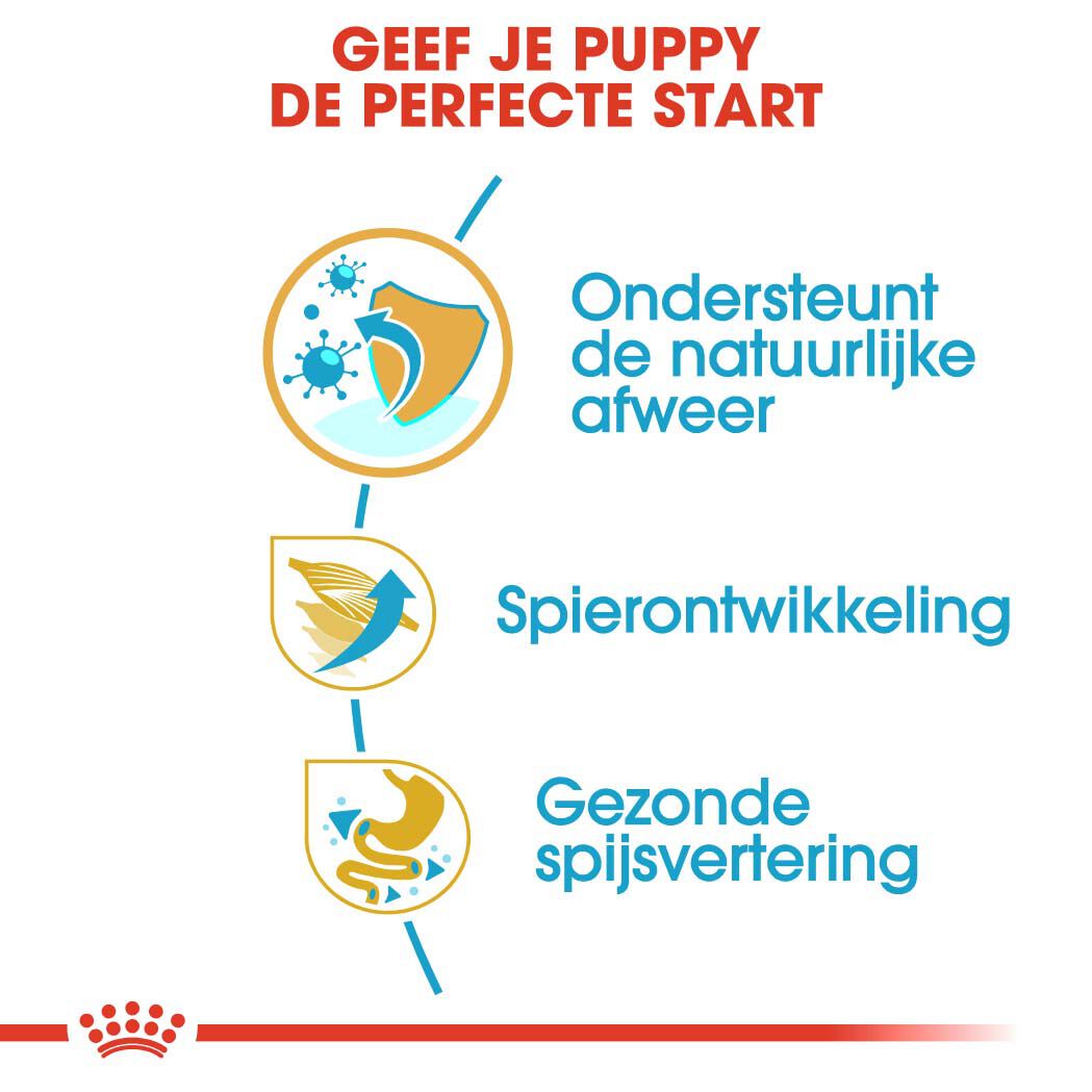 Royal Canin Boxer Junior - Hondenvoer - 3 Kilogram - gevogelte