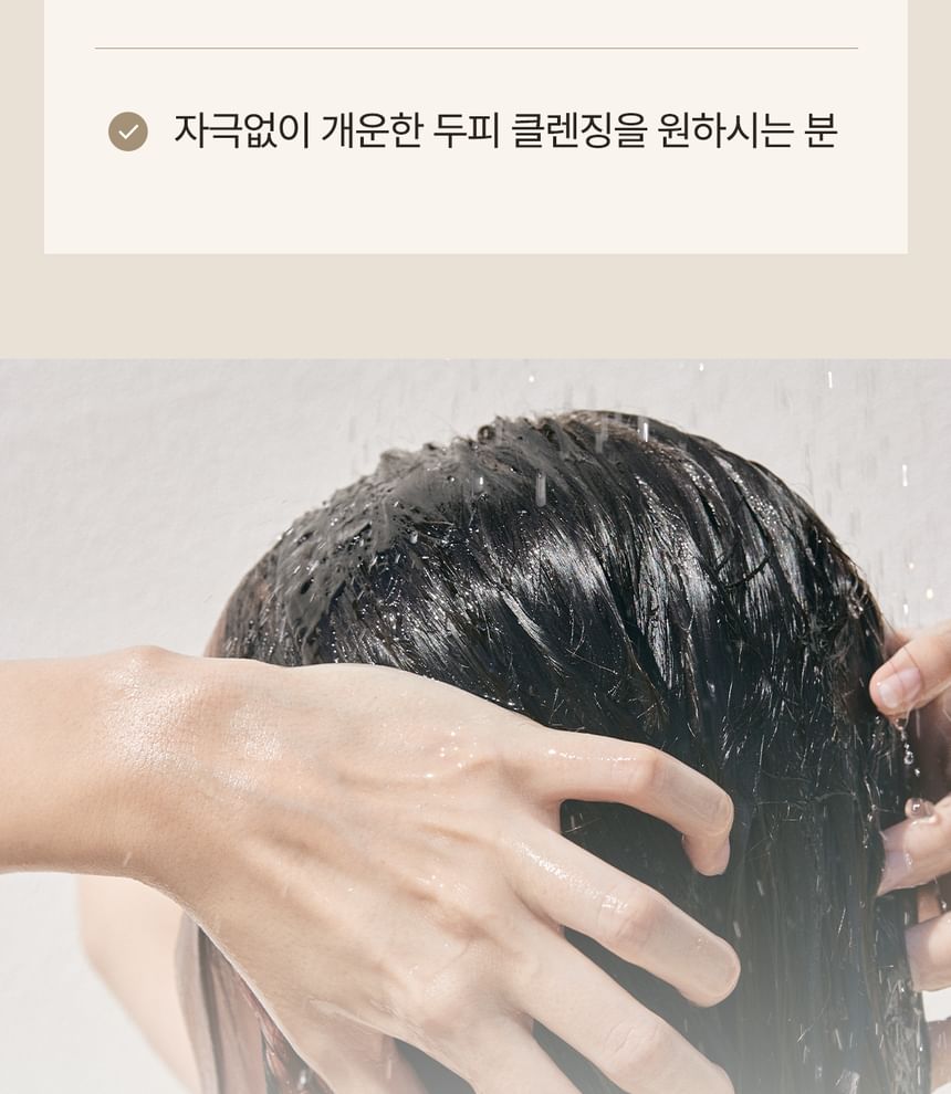 STEAMBASE - Perfecte shampooborstel