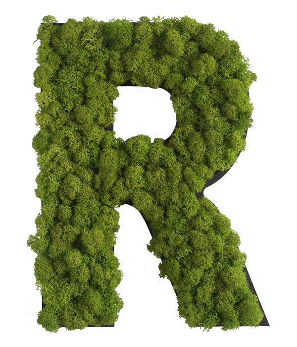 styleGREEN Buchstaben aus Islandmoos, ca. H25