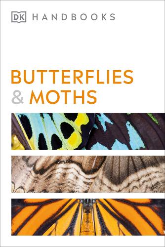 Butterflies and Moths - DK Handbooks (Paperback)