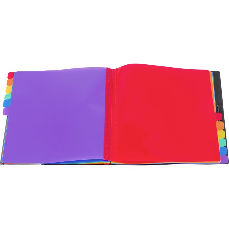 Trieur plastique Viquel Rainbow Class à soufflet 12 divisions noir