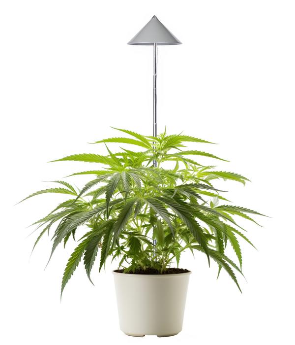 Venso Pflanzleuchte Canna Sunlite, ca.