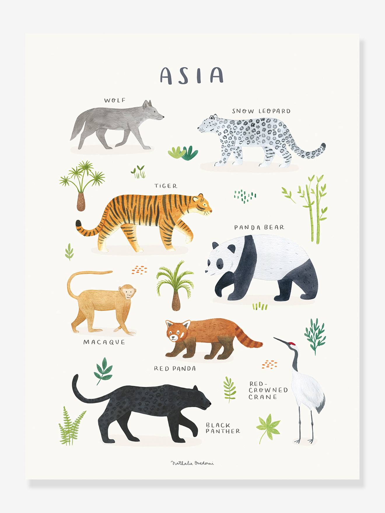 Estampa de animais asiáticos Lilydale LILIPIN cinza