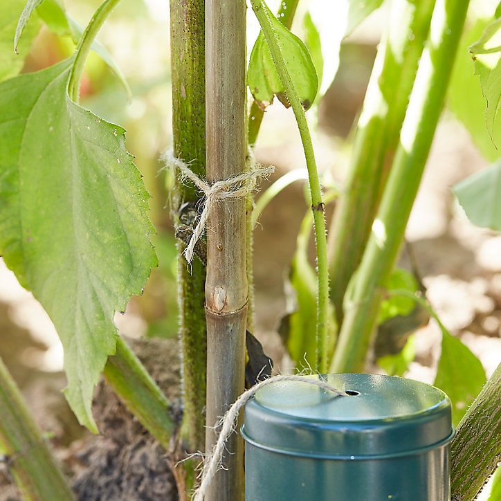 Corde de jute avec distributeur Verve 100 m