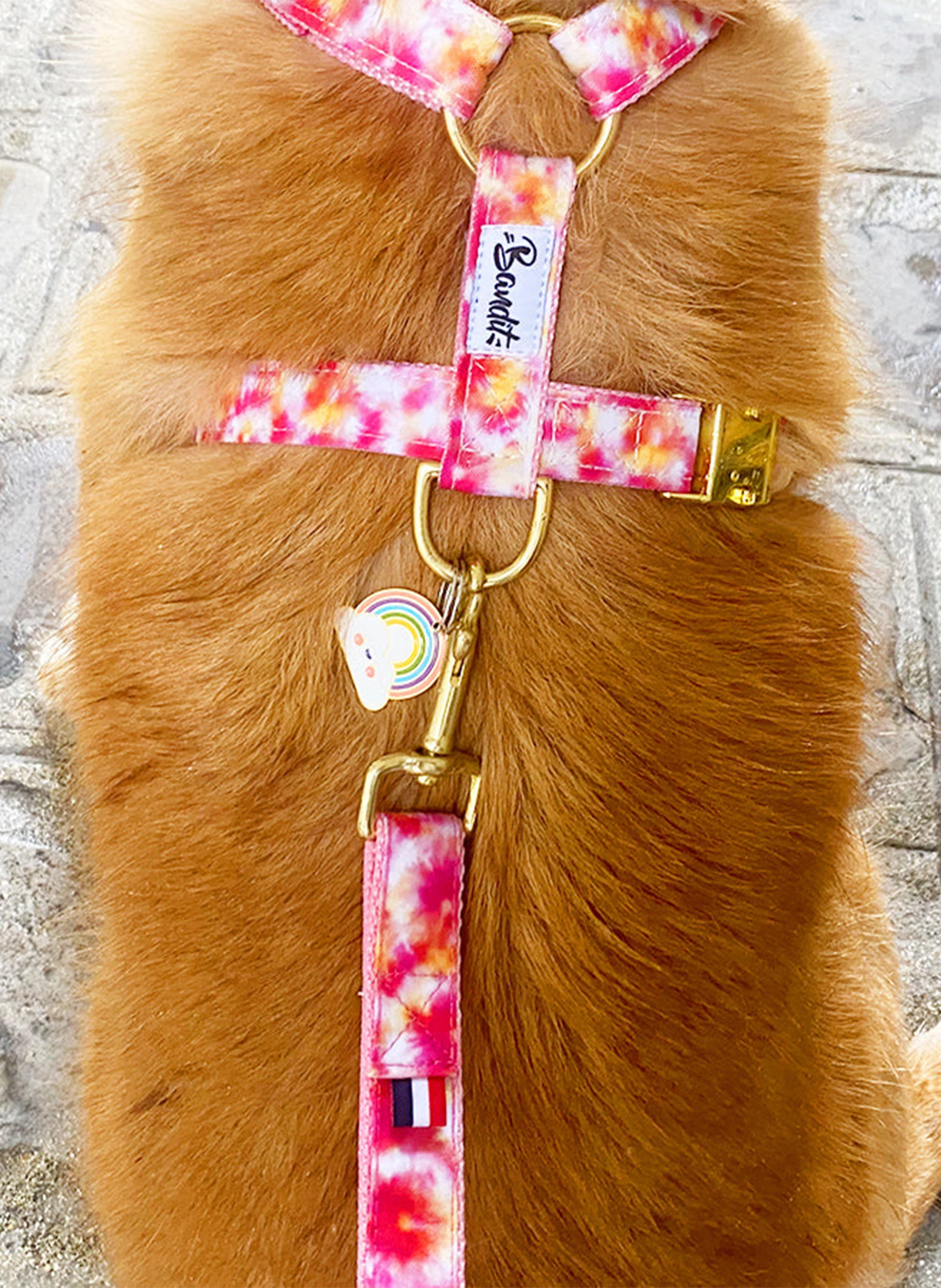 BANDIKINI - Laisse chien imprimé tie and dye | Rose