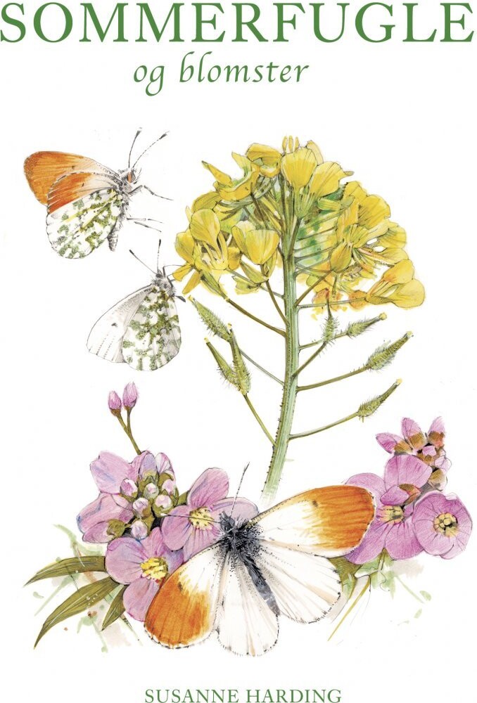Sommerfugle Og Blomster - Susanne Harding - Bog