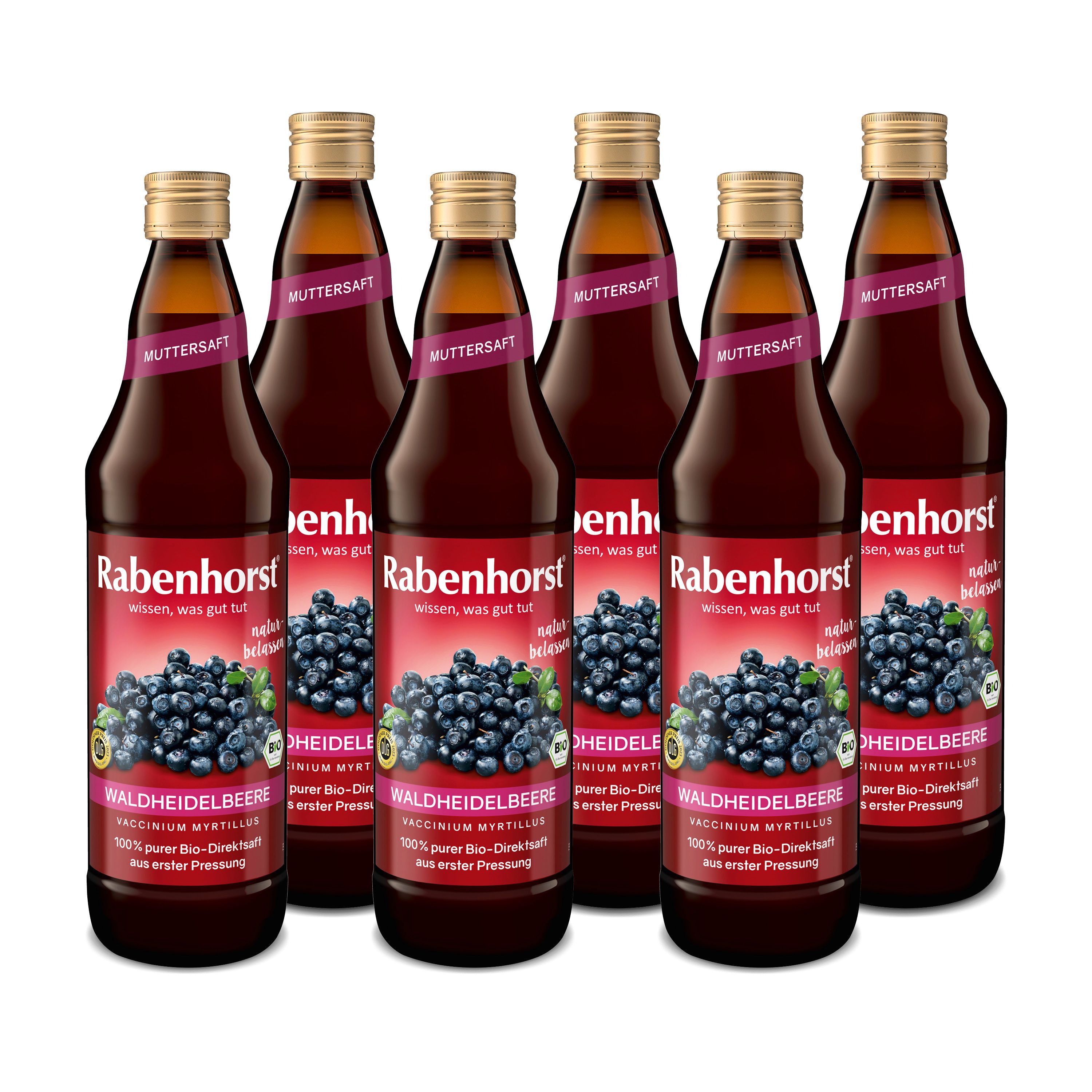 Rabenhorst Waldheidelbeere Muttersaft BIO