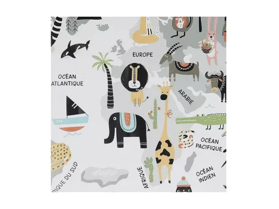 Sticker mural Mappemonde 90x60 cm