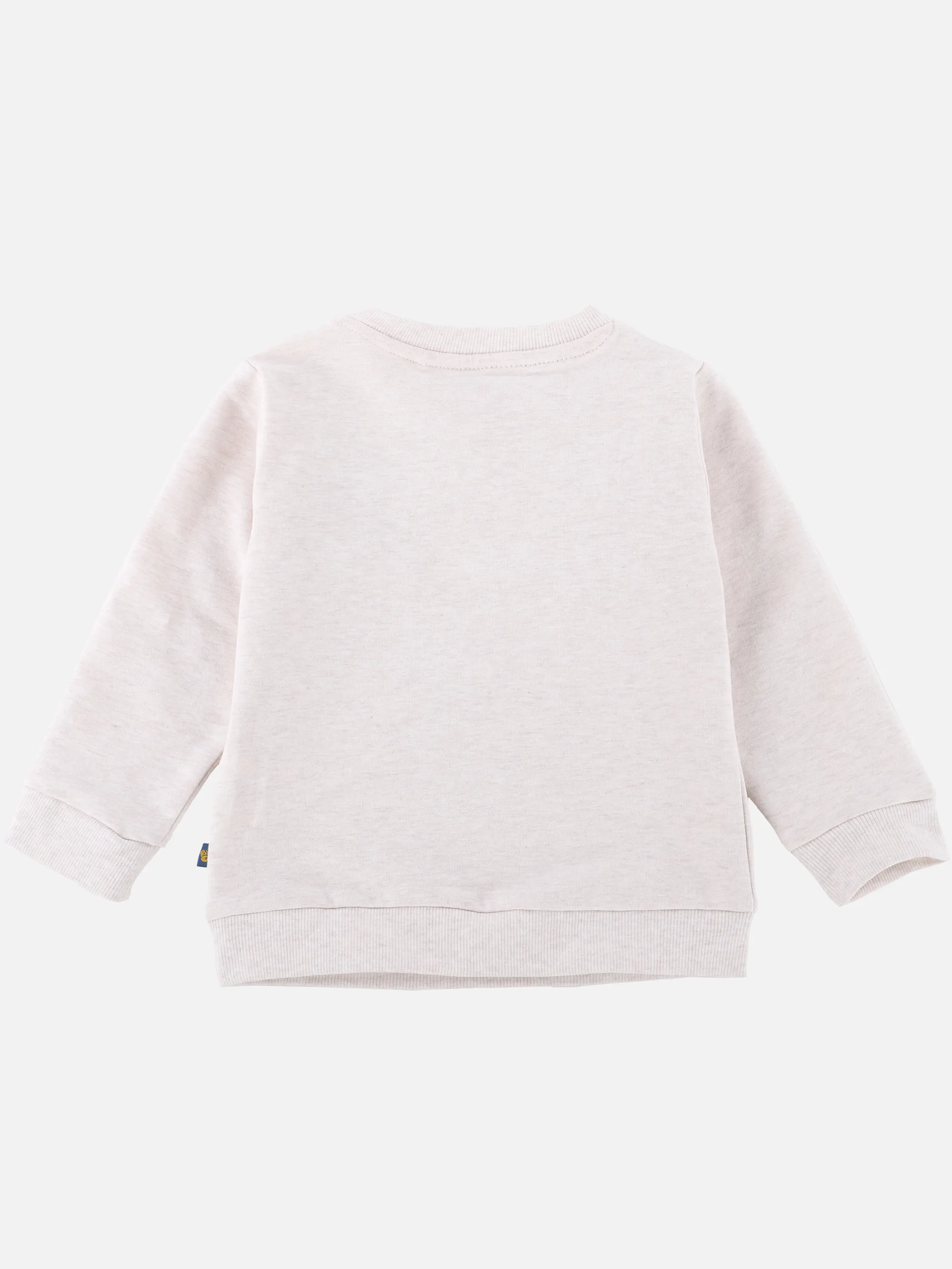 Baby Jungen Sweatshirt mit Frontprint