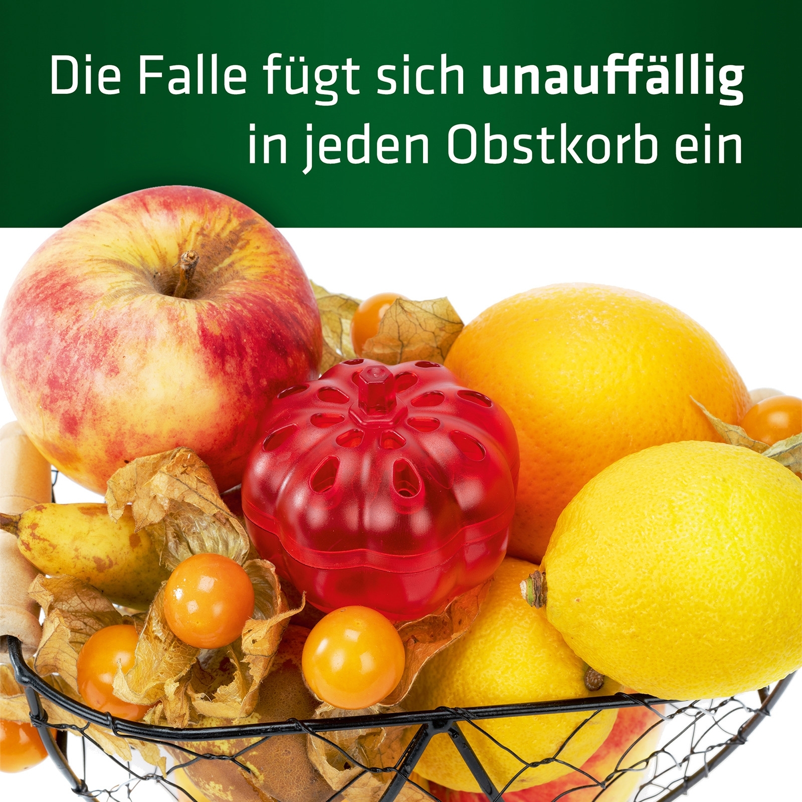 Gardigo Mini Fruchtfliegenfalle 2er Set