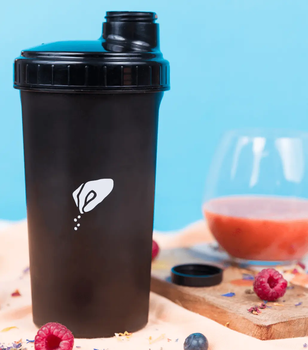 Just Spices Shaker (700ml)