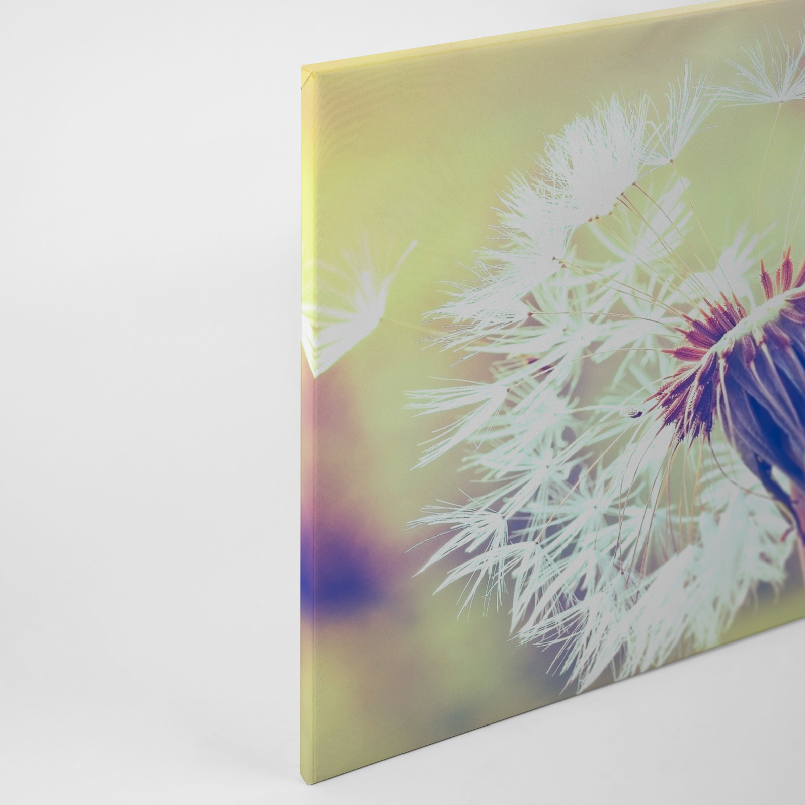 Leinwandbild PUSTEBLUME - gelb - 90x60 cm