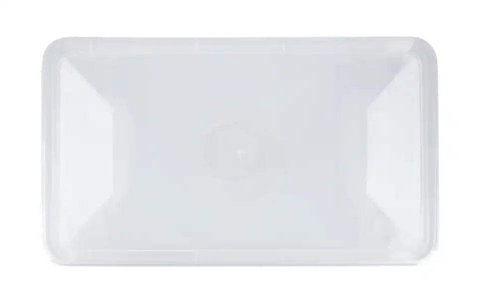 Rotho Aufbewahrungsbox, 4er Set