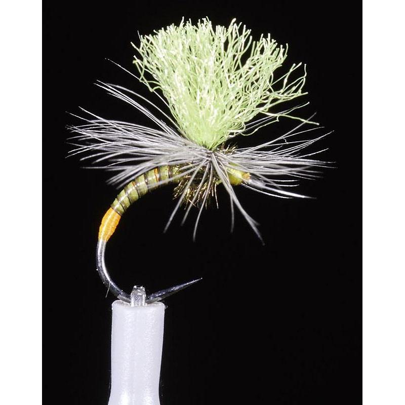 Mouche Chiro Jmc Dc151 Bl