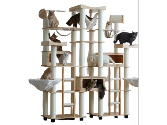 Arbre à chat, Cadre d'escalade pour chat en bois, 275cm×h238cm