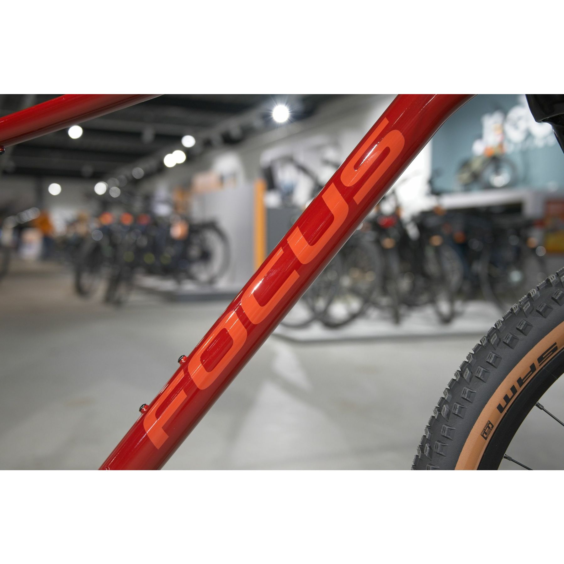 Focus Whistler 3.7 2025