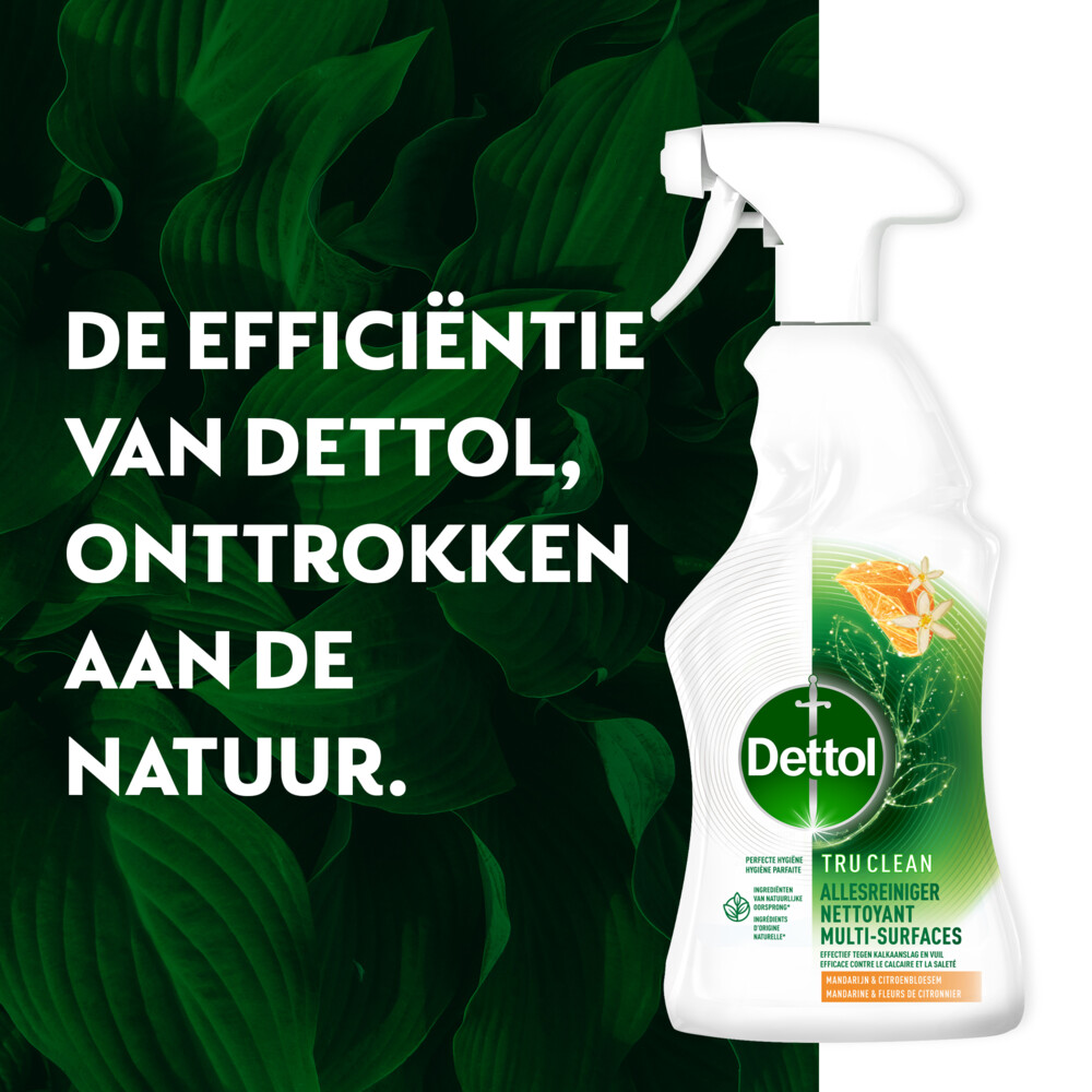 Dettol Allesreiniger Spray Mandarijn & Citroenbloesem500 ml