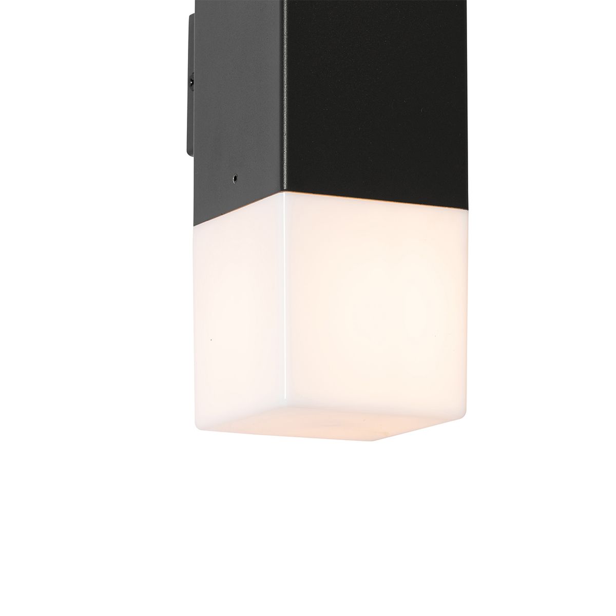 Buiten wandlamp zwart met opale kap 2-lichts IP44 - Denmark