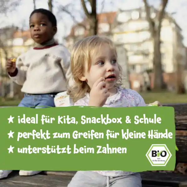 Bio Mehrkorn Ringe mit Karotte & Mango