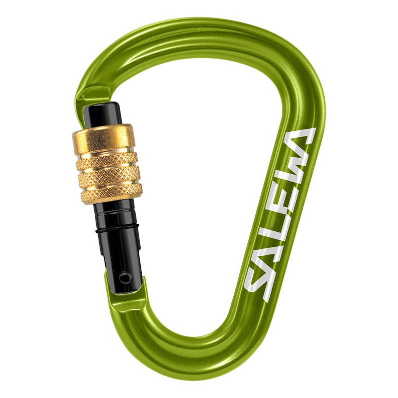 Salewa HMS Pro Karabiner