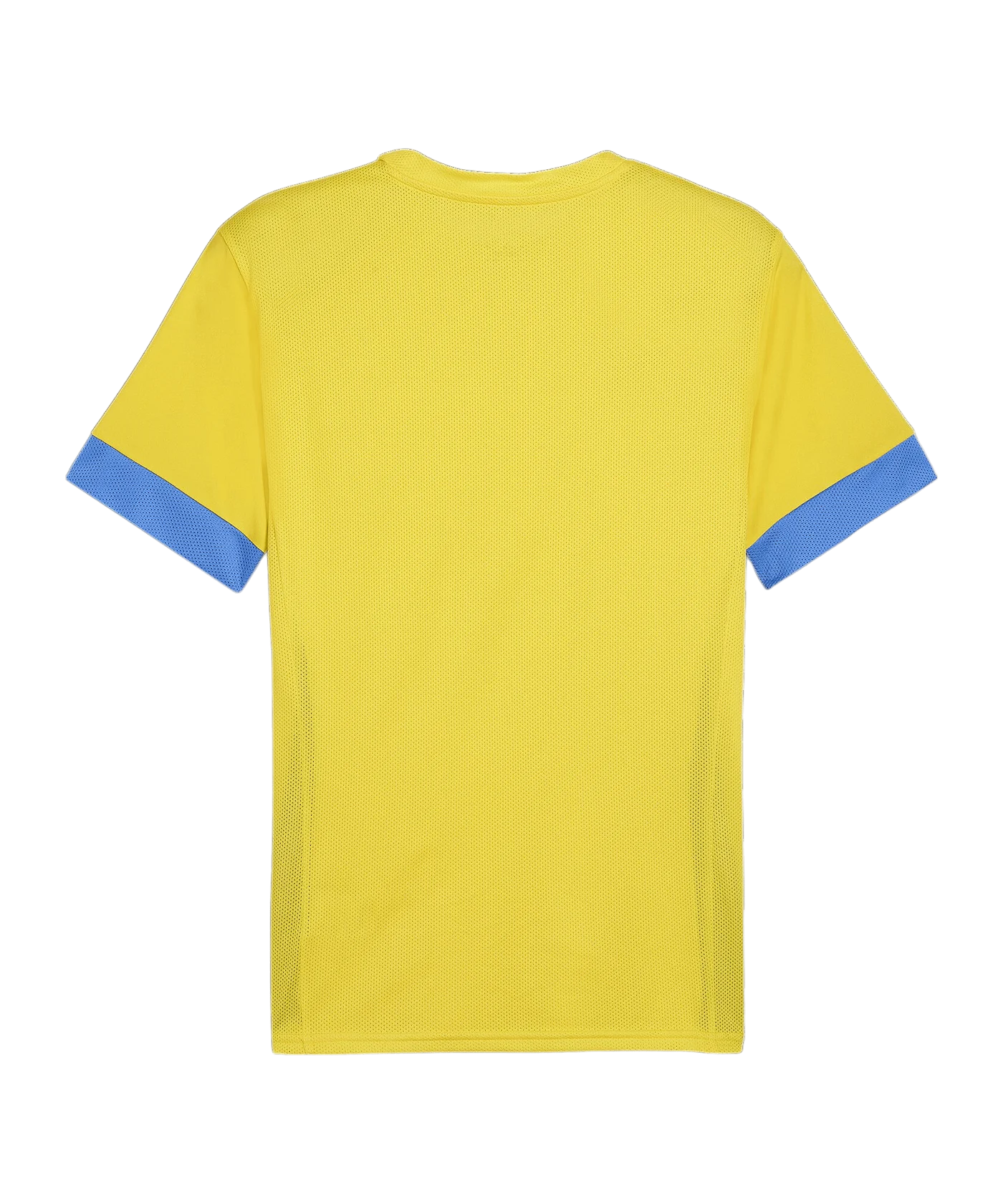 PUMA teamGOAL Matchday Trikot Gelb Blau F17
