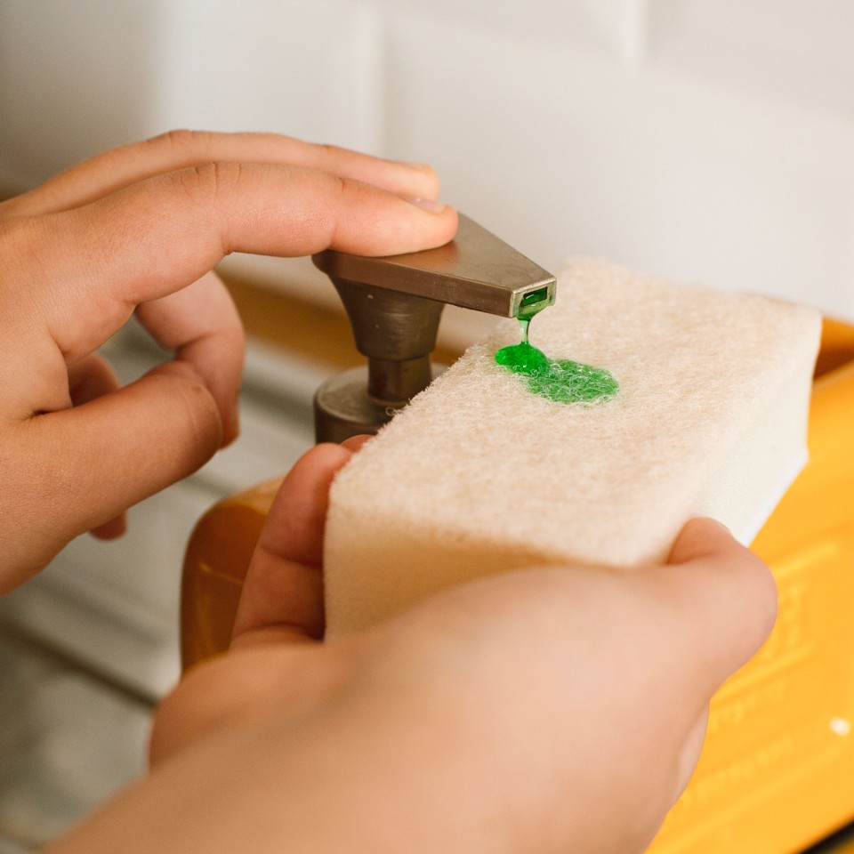 Retro Controller Sponges Set of 2, with Scourer