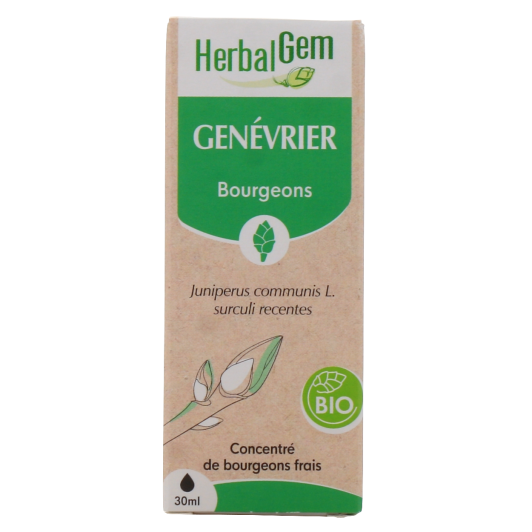 Herbalgem macérat genévrier bio - Gemmothérapie concentrée