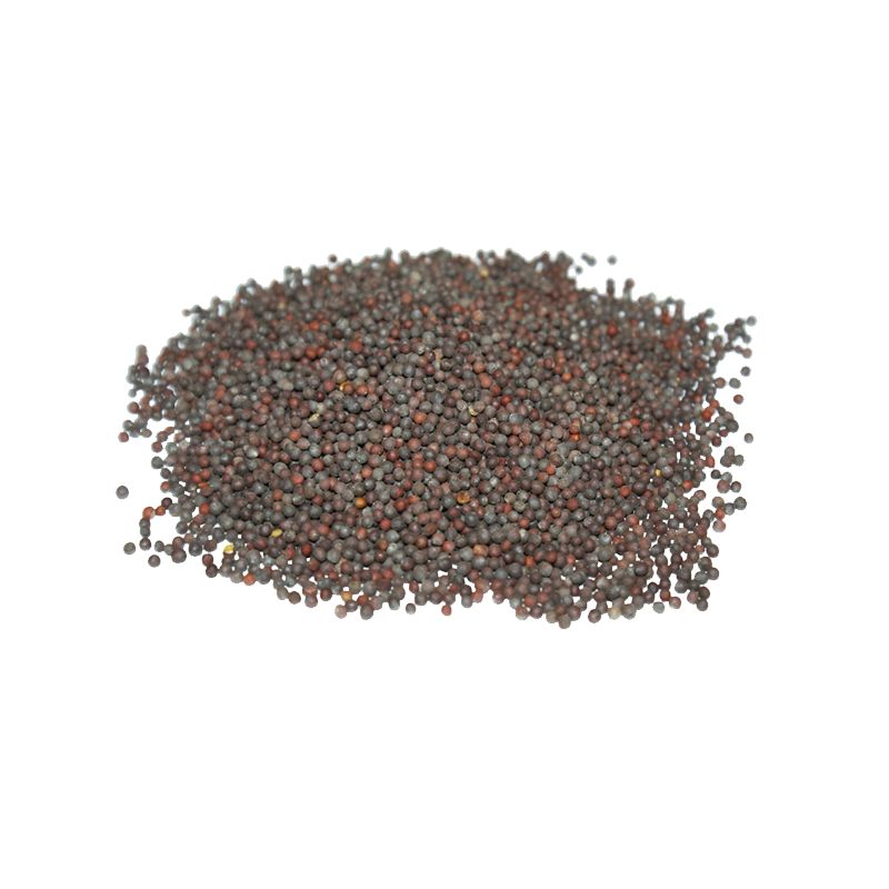 Miraherba - Bio Senfsamen schwarz-braun ganz
