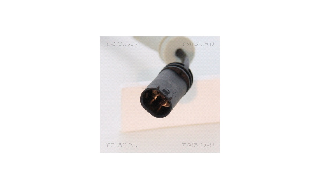 ABS sensor