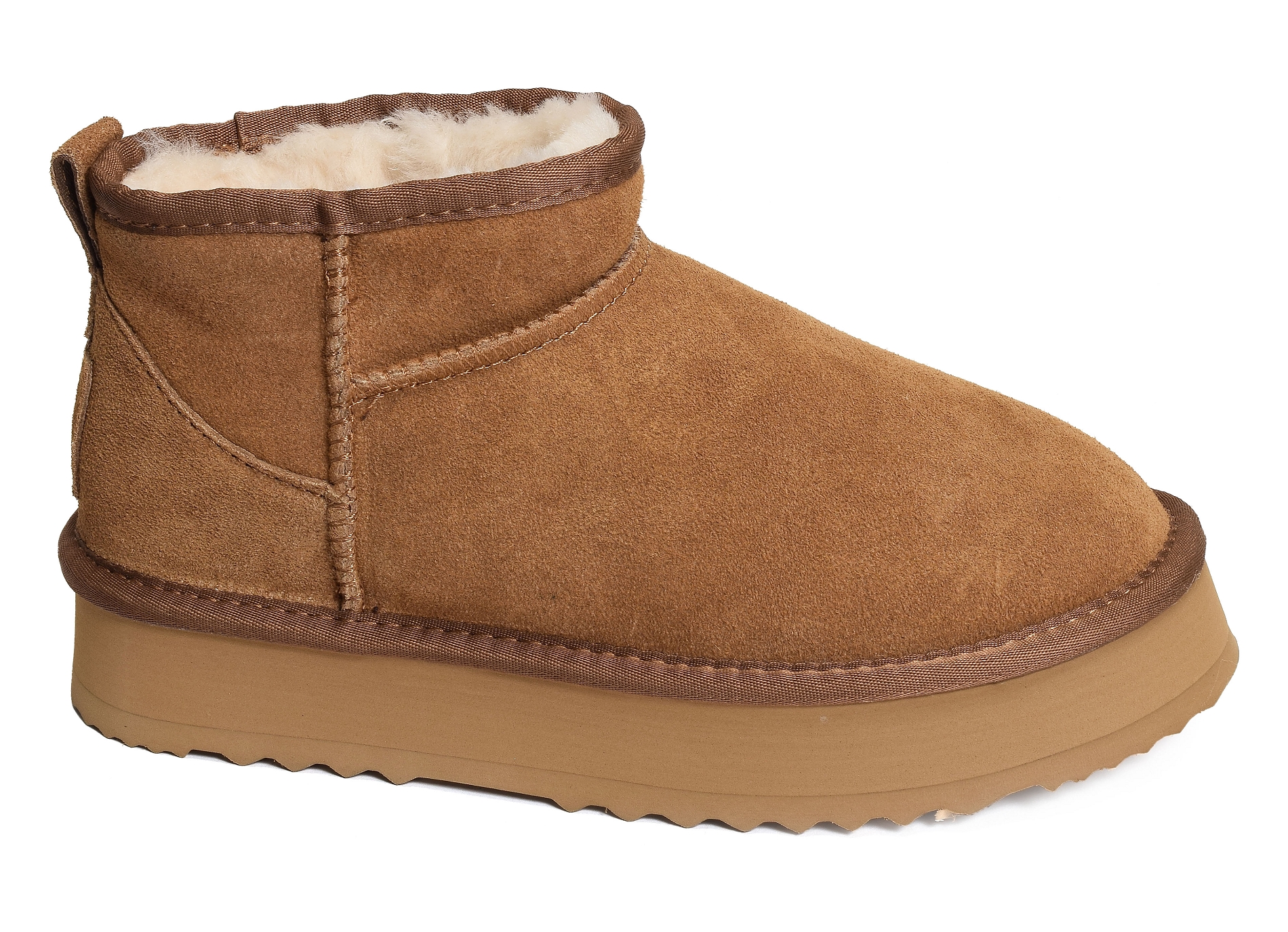 K31224 camel